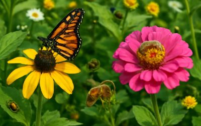 Unlocking Ecosystems: What Are Facilitator Species and Why They Matter Weaving Nature’s Web